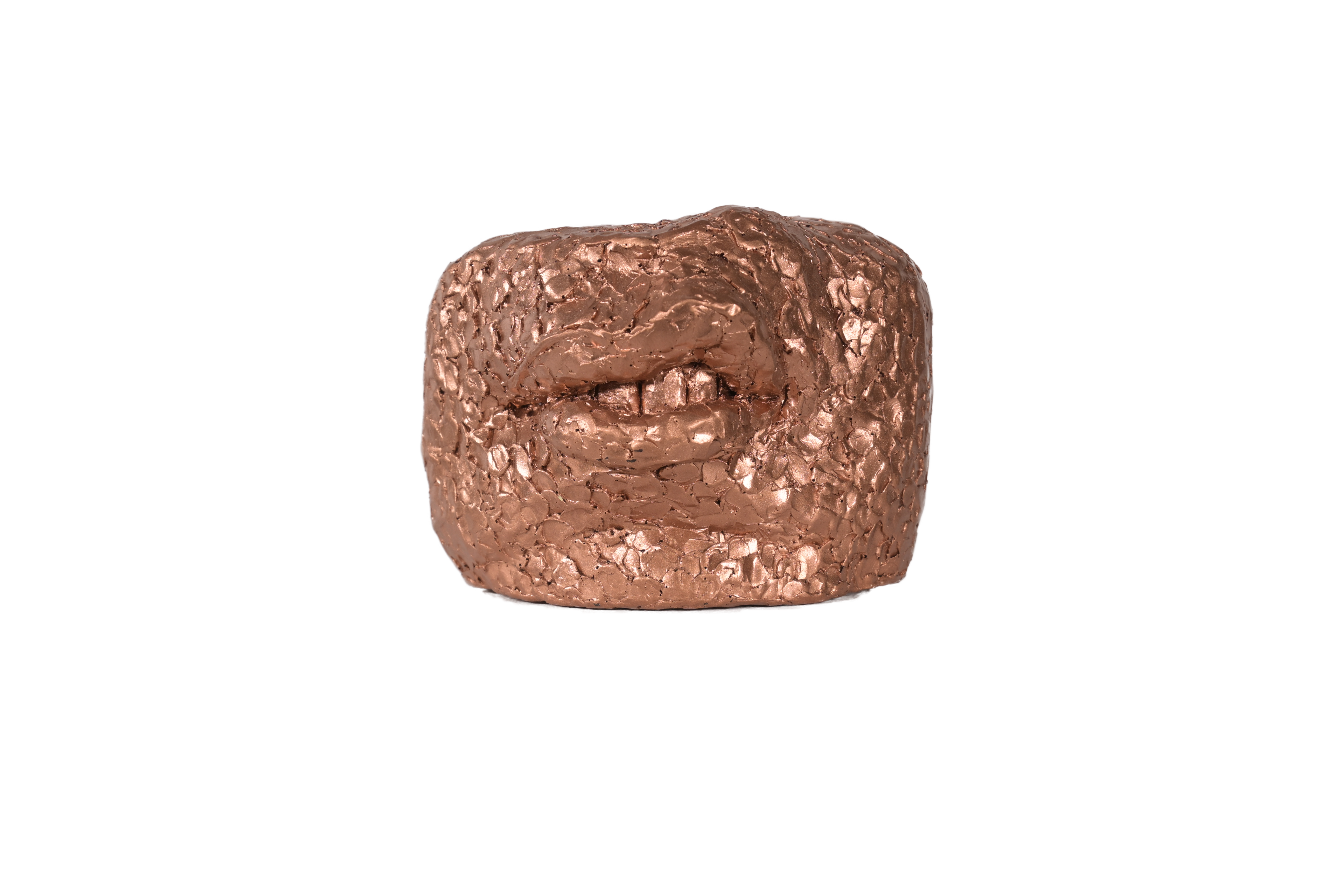 Coppery Snarl - fragment sculpture