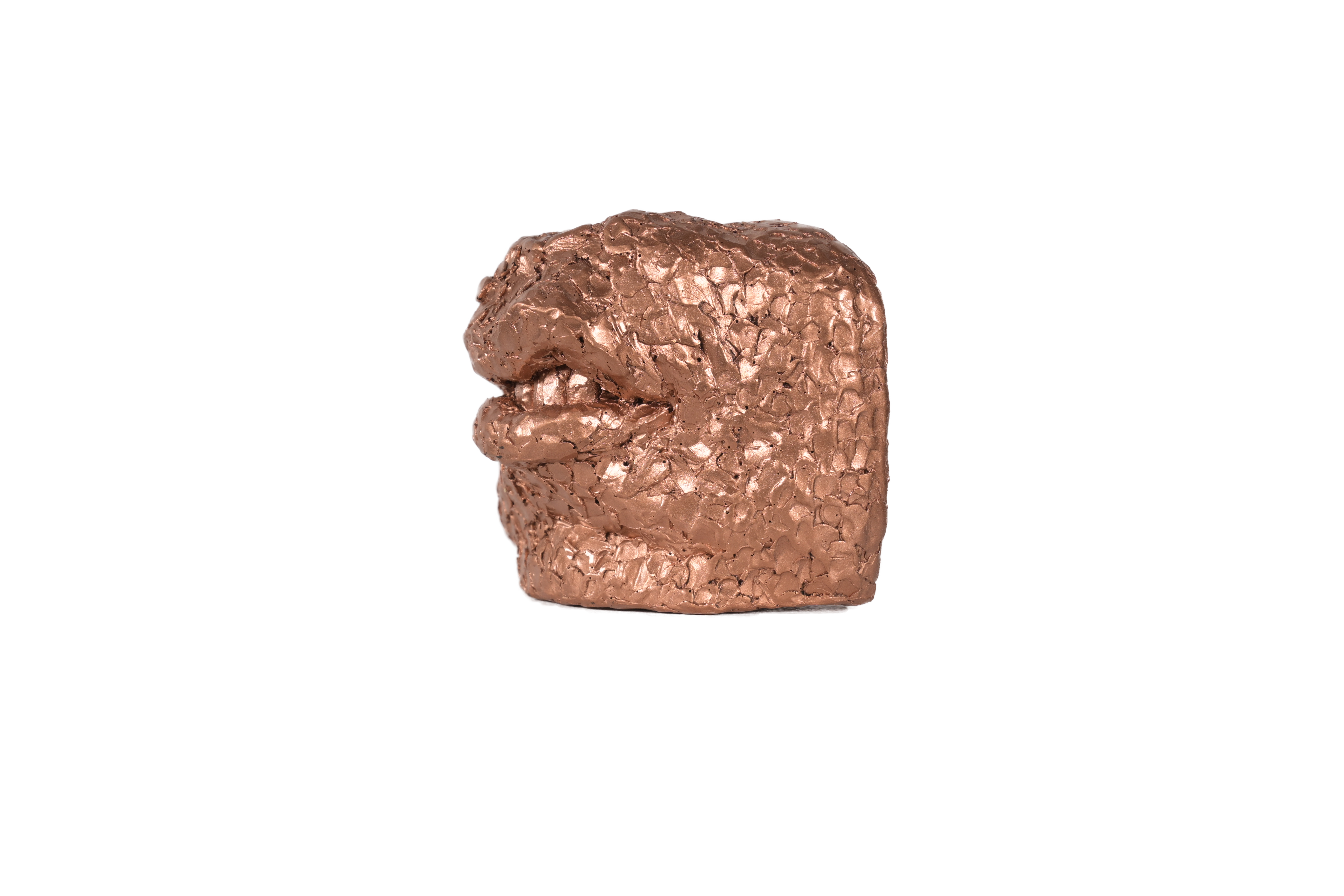 Coppery Snarl - fragment sculpture