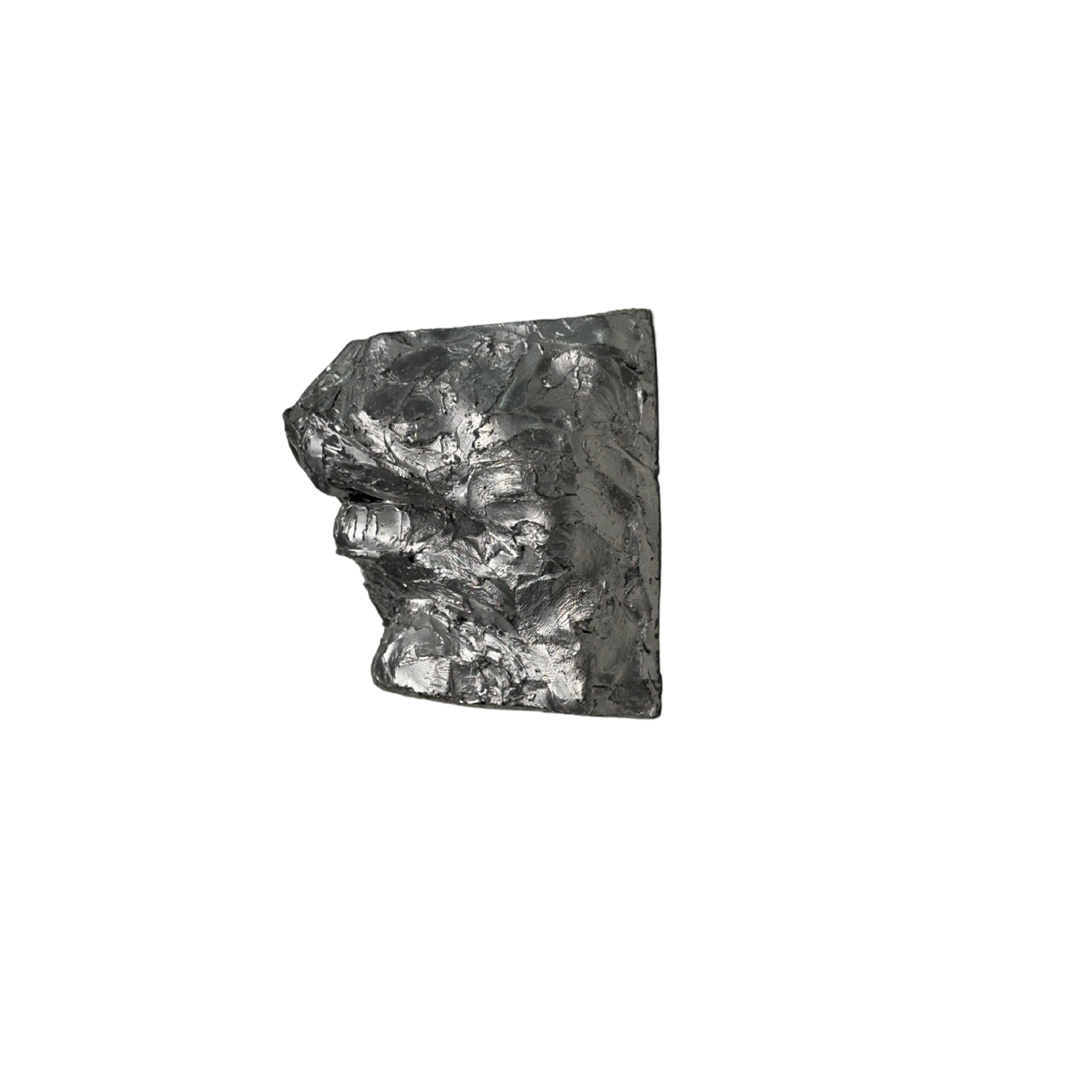 Silver Pout - fragment sculpture