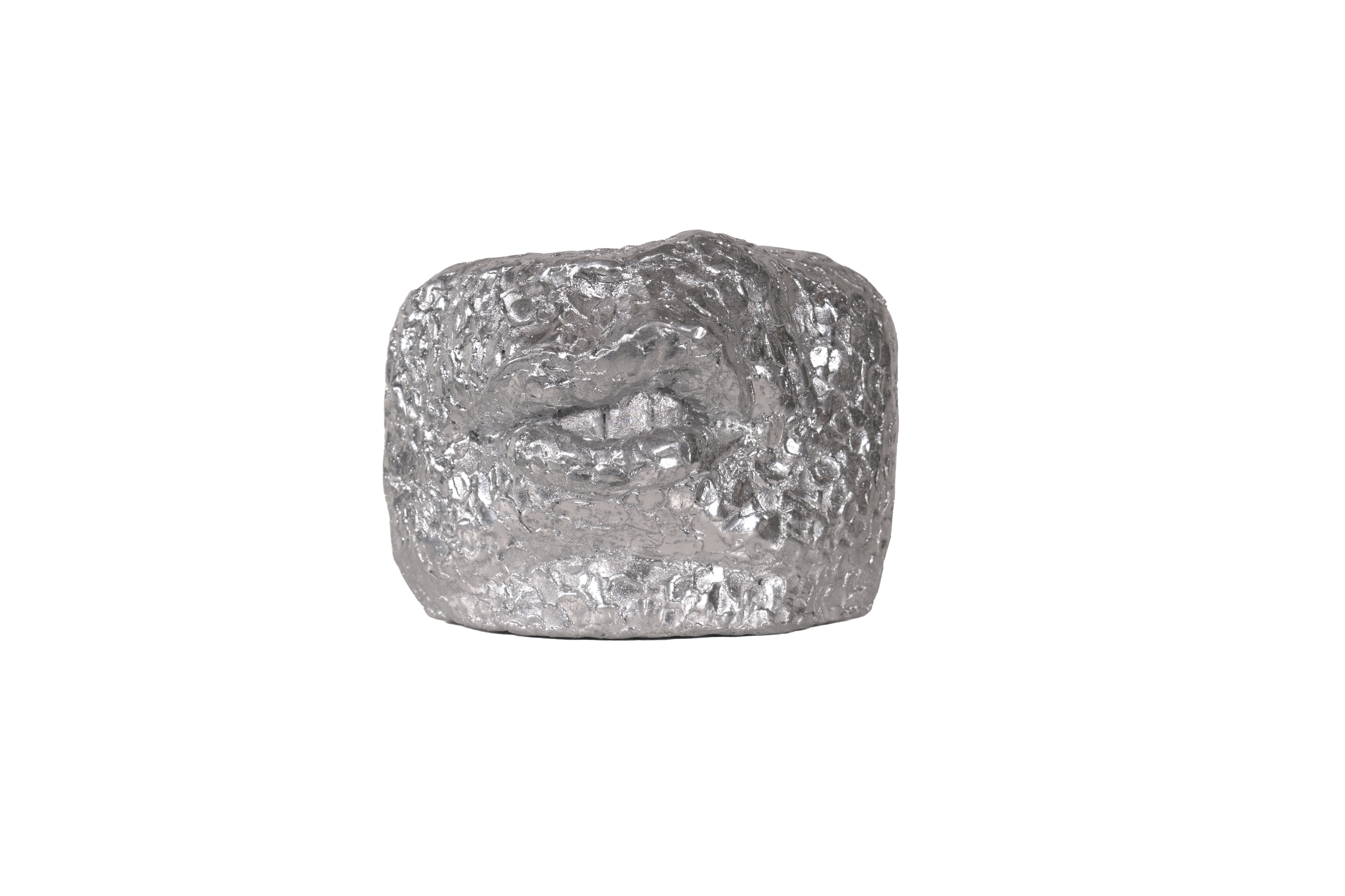 Silver metallic Snarl - fragment sculpture