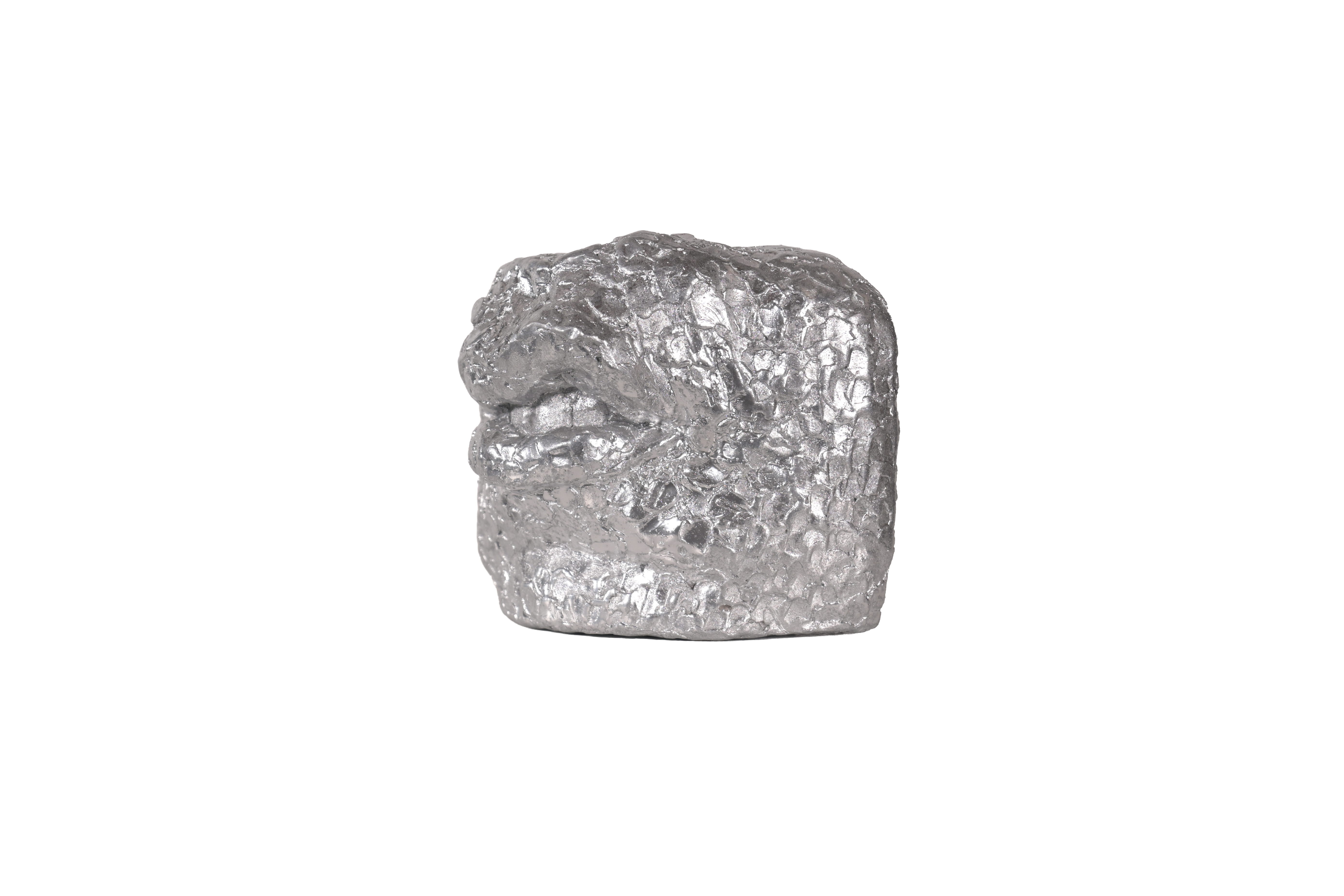 Silver metallic Snarl - fragment sculpture