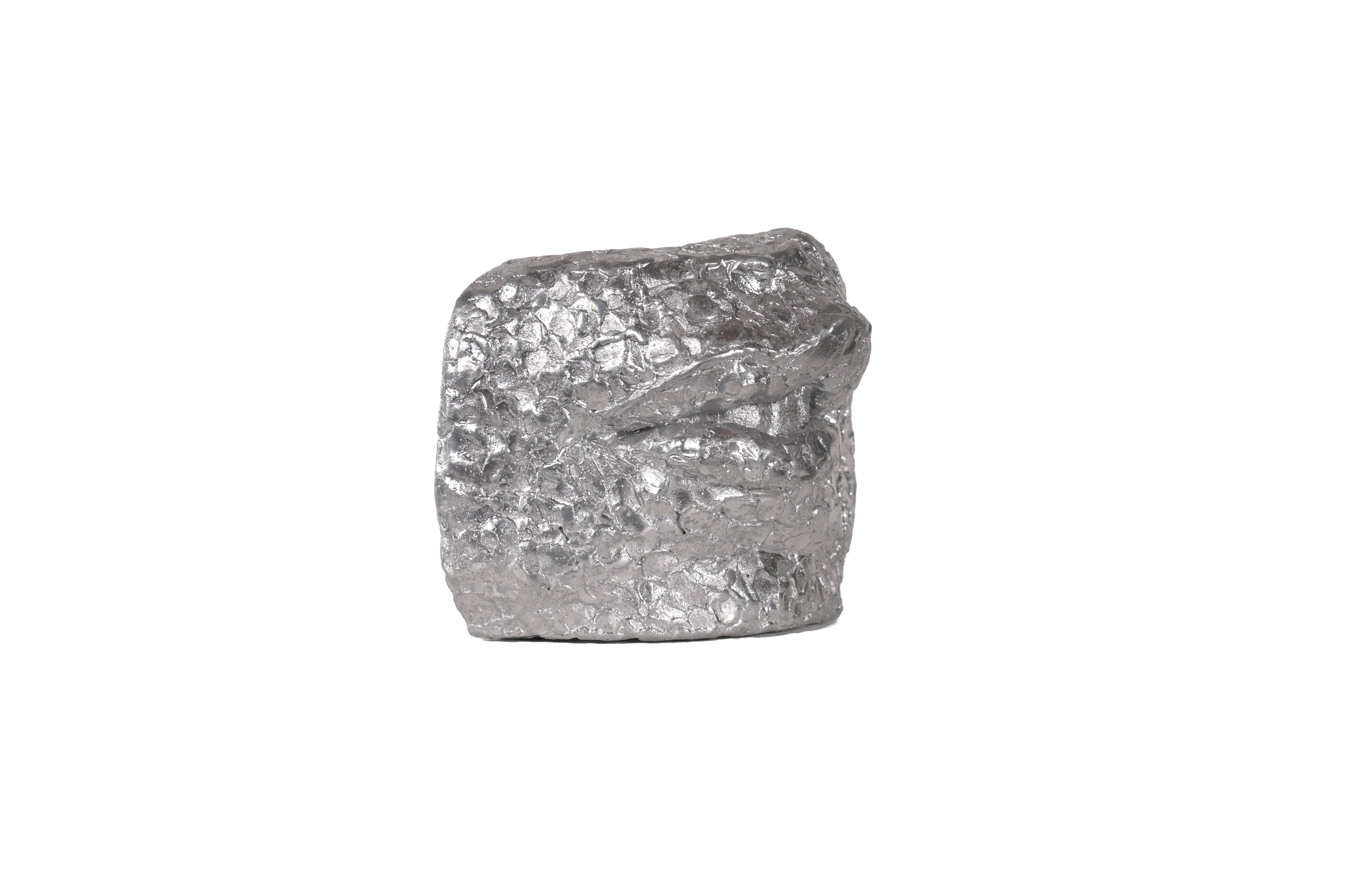 Silver metallic Snarl - fragment sculpture